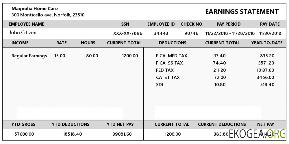 États Unis VIRGINIA Magnolia Home Care Relevé de gains aux formats Word et PDF